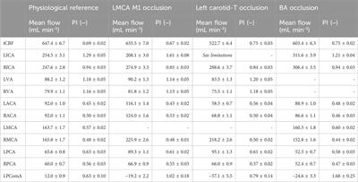 Collateral flow and pulsatility during large vessel occlusions: insights from a quantitative in vitro study